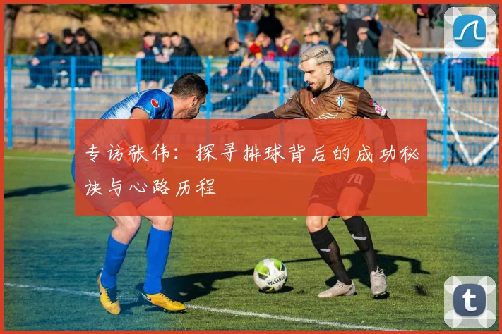 专访张伟：探寻排球背后的成功秘诀与心路历程