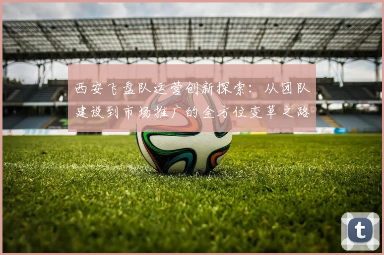 西安飞盘队运营创新探索：从团队建设到市场推广的全方位变革之路